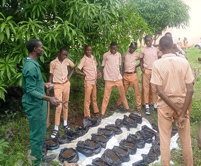 CFF agroschooling practical session
